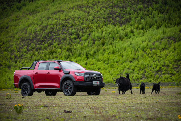 5月销量创新高:长城皮卡销售22543台,长城炮月销破万!