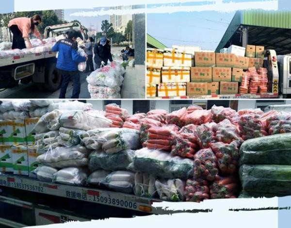 用关爱传递温暖 北京现代携全国经销商助力疫情防控